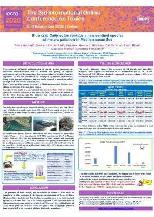 Naccari C- POSTER IOCTO 2026.pdf